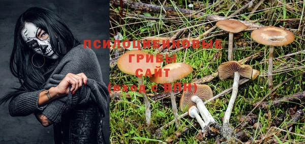 PSILOCYBIN Баксан