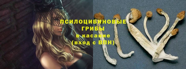 крисы Балабаново