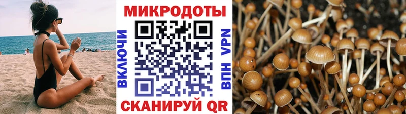 Галлюциногенные грибы MAGIC MUSHROOMS  Старый Крым 